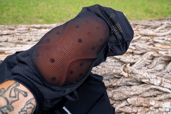 chest protector for mountain biking