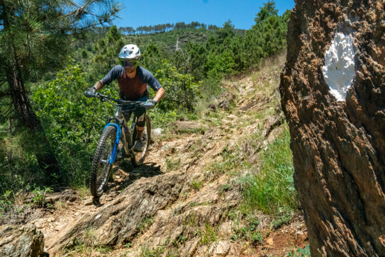 Mountain biker navigating a rocky trail surrounded by trees on a sunny day. The biker is wearing a helmet and protective gear, focused on maneuvering the uneven terrain. A large rock with a white mark is visible in the foreground.