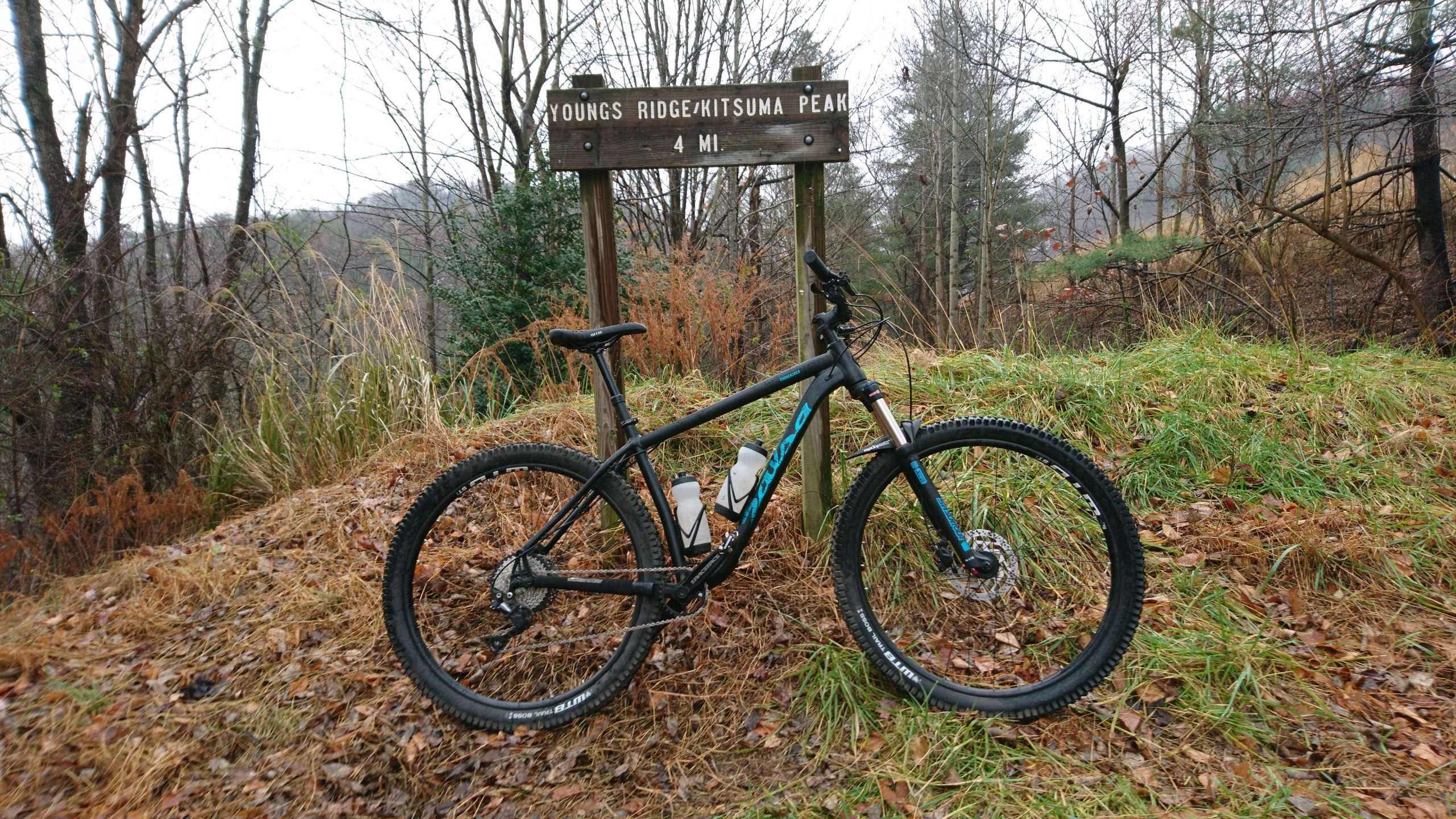 Salsa Timberjack: A mountain bike parked next to a wooden sign that reads "Youngs Ridge/Kitsuma Peak 4 MI," surrounded by a forested area with fallen leaves and dry grass.