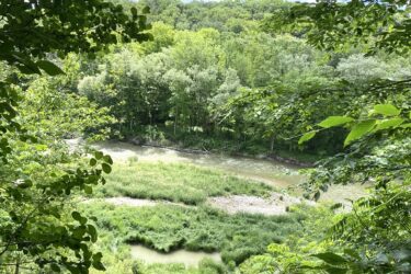 A scenic view of a lush green landscape with trees framing the image. In the foreground, grassy slopes lead down to a winding river, surrounded by various shades of greenery, under a bright blue sky dotted with clouds. Bayfield river mountain bike trail.