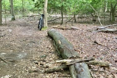 A mountain bike is leaning against a tree in a lush green forest. The ground is covered in brown leaves and twigs, and a large fallen log lies nearby, partially obstructing the dirt path. The scene is peaceful, with vibrant foliage surrounding the area. Camden County College mountain bike trail.