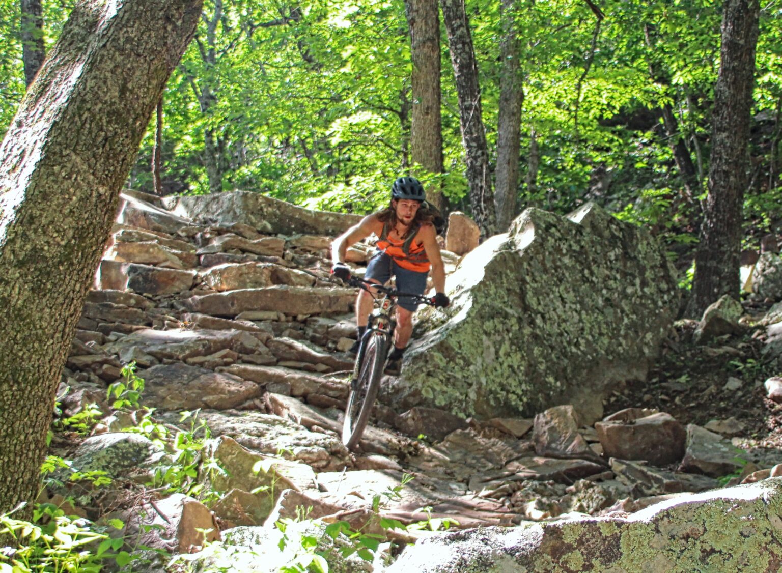 18mile Addition Makes Mt. Nebo Another Must Ride Trail in Arkansas