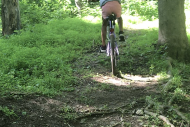 A person riding a bicycle on a forest trail surrounded by lush greenery and sunlight filtering through the trees. The cyclist is wearing a helmet and navigating a path with visible roots and dirt. Jordan Creek Parkway mountain bike trail.