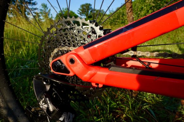 canyon spectral bearings