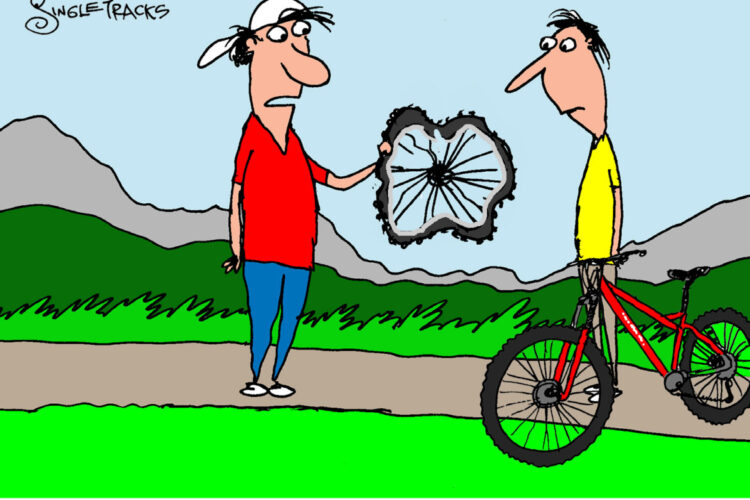 A cartoon depicting two cartoon characters in a scenic outdoor setting. One character, wearing a red shirt and cap, is holding a broken bicycle wheel and commenting on its flexibility. The other character, dressed in a yellow shirt, stands next to a red bicycle, looking at the wheel with a puzzled expression. The background features green grass and mountains under a blue sky. A caption at the bottom reads, "Well, the new wheel is definitely more compliant."