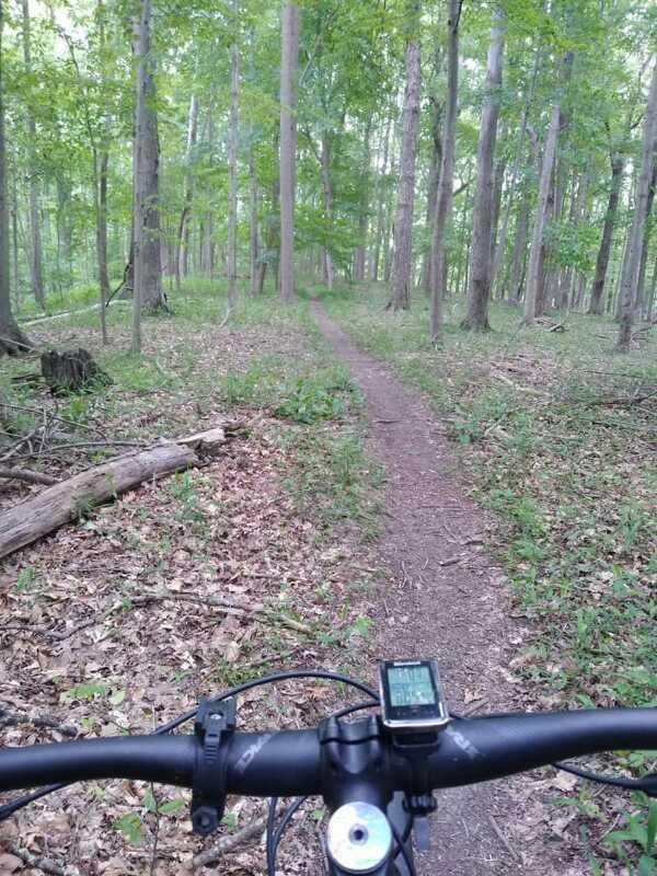 A view from the handlebars of a mountain bike, showcasing a narrow dirt trail winding through a lush green forest with tall trees and patches of sunlight filtering through the leaves. A bike computer is visible on the handlebars, suggesting an outdoor biking adventure. Mountwood mountain bike trail.