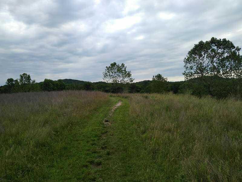 A winding dirt path leads through a grassy field, surrounded by shrubs and trees under a cloudy sky. The landscape features rolling hills in the background, creating a peaceful natural scene. Mountwood mountain bike trail.