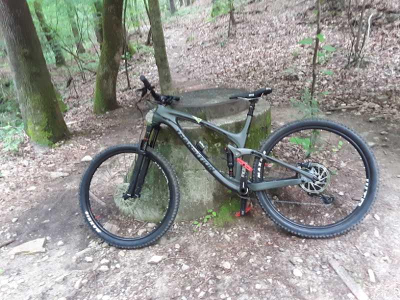 A mountain bike resting against a stone stump in a wooded area, surrounded by trees and a dirt path covered in leaves. Big Creek mountain bike trail.
