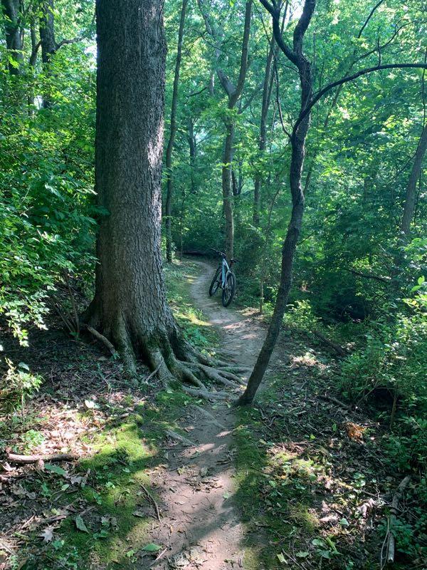 A winding dirt path through a lush green forest, with a large tree on the left side and a mountain bike leaning against the tree. Sunlight filters through the leaves, creating a serene outdoor setting. Girl Scout mountain bike trail.