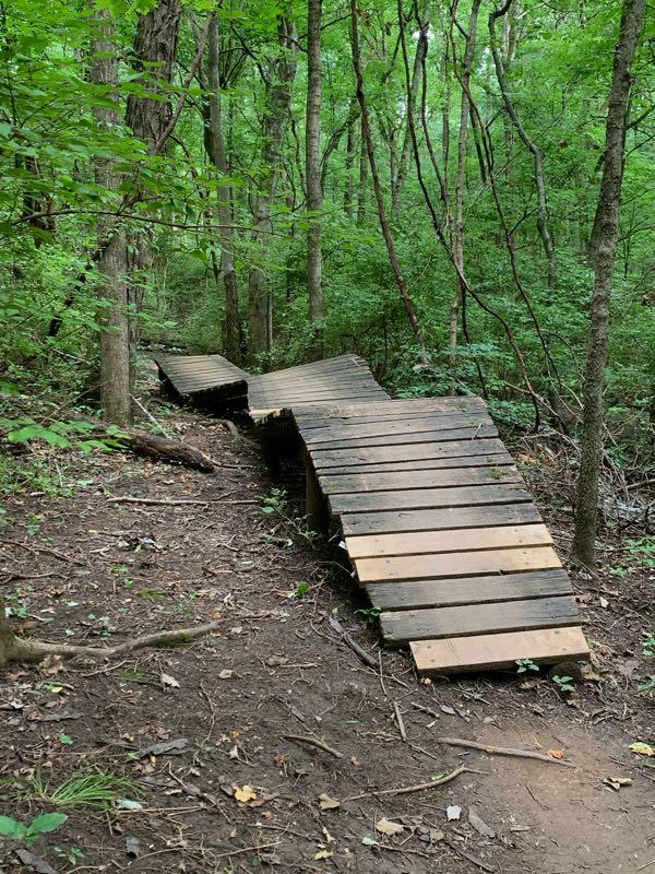 A winding wooden boardwalk path traverses through a dense forest, surrounded by lush green foliage and trees, providing access through the natural landscape. Percy Warner Mountain Bike Trails mountain bike trail.