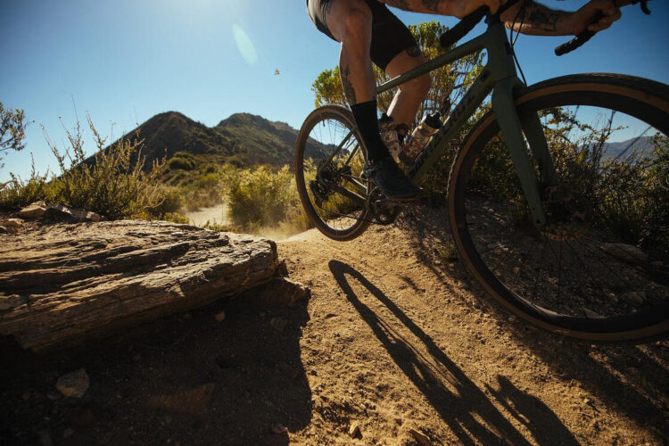 A cyclist riding on a dirt trail surrounded by greenery and mountains, with dust rising from the ground as the bike navigates past a large log. The sun is shining brightly in the background, creating a vibrant outdoor scene.