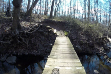 A wooden bridge crossing over a small stream in a wooded area, surrounded by trees and rocky terrain, with sunlight filtering through the branches. Richmond Avenue and Forest Hill road mountain bike trail.