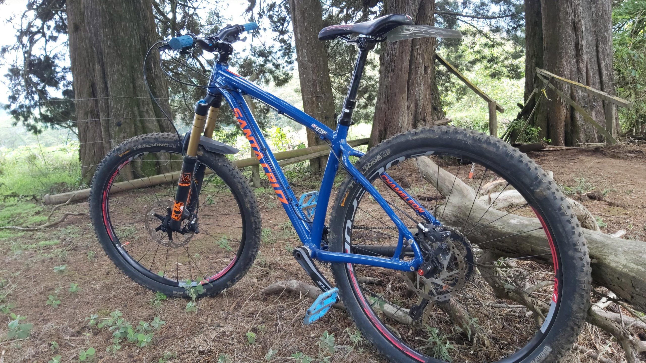 Santa Cruz Chameleon: A blue mountain bike parked on the ground, with thick, knobby tires and a black seat. The bike is situated among tall trees in a natural setting, with greenery and fallen branches in the background. The scene captures a relaxed outdoor atmosphere suitable for biking adventures.