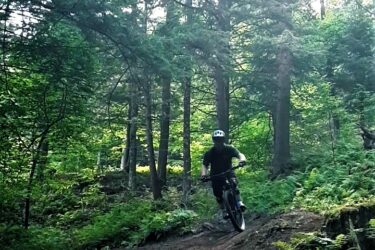 A mountain biker riding on a dirt trail in a dense forest, surrounded by tall trees and lush greenery. The biker is wearing a helmet and is captured mid-action, leaning forward as they navigate a small jump on the trail. Mt. Peg mountain bike trail.