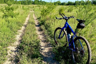 A blue mountain bike parked on a dirt path surrounded by tall grass and small flowering plants, with a clear blue sky overhead and trees in the background. Parkhill Conservation area and rail trail mountain bike trail.