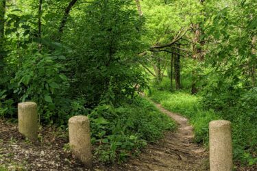 A narrow, winding dirt path leading into a lush green forest, flanked by three concrete posts. The path is surrounded by dense vegetation, including leafy trees and underbrush, creating a serene and inviting natural setting. Forest Glen Woods mountain bike trail.