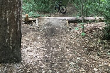 A narrow dirt path winding through a lush green forest, with a mountain bike leaning against a tree in the background. A log lies across the path, creating a small obstacle. The forest is filled with tall trees and scattered foliage on the ground, giving a sense of an inviting yet rustic outdoor environment. Trent Park mountain bike trail.