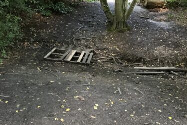 A dirt path surrounded by greenery, with a small wooden pallet lying on the ground. Two trees with leafy branches stand nearby, and scattered leaves cover the dark earth. In the background, a fallen log is partially visible, contributing to the natural, rustic atmosphere of the scene. Trent Park mountain bike trail.