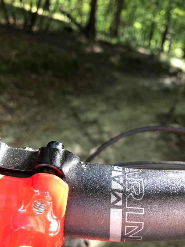 Close-up view of a bicycle handlebar, with a focus on the grip and stem. The background features a blurred forest path with greenery, suggesting an outdoor cycling environment. Harbison State Forest mountain bike trail.