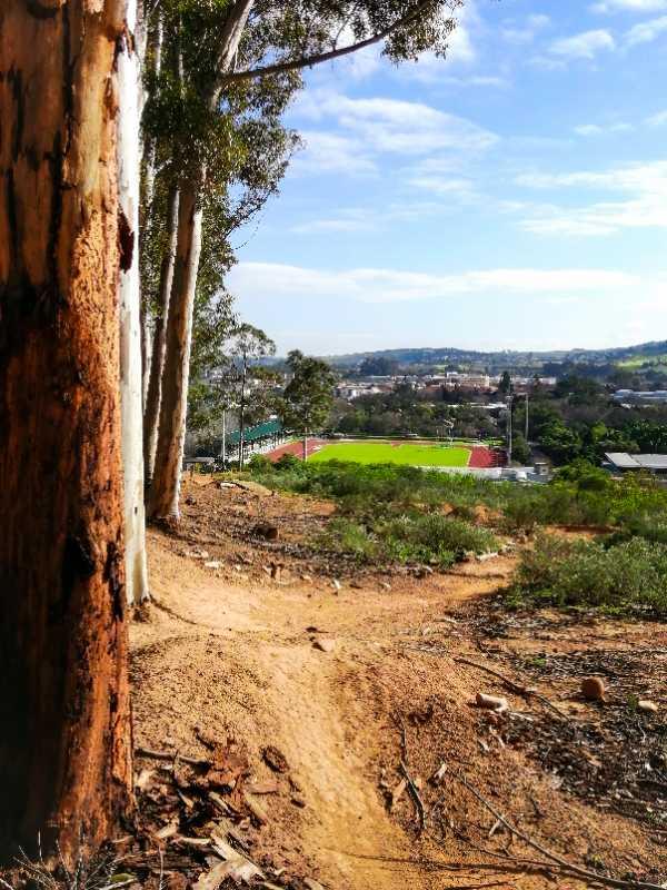A scenic view from a hillside showcasing a dirt path winding through eucalyptus trees. In the background, a town is visible with green fields and a sports field with red track markings. The sky is partly cloudy, and the landscape features hills and a mix of urban and natural elements. Dir Burger MTB Challenge 50km route mountain bike trail.