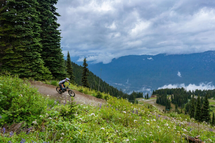 A mountain biker riding along a dirt trail surrounded by lush green foliage and tall pine trees, with a backdrop of misty mountains under a cloudy sky. Wildflowers are visible along the trail, enhancing the vibrant natural scenery.