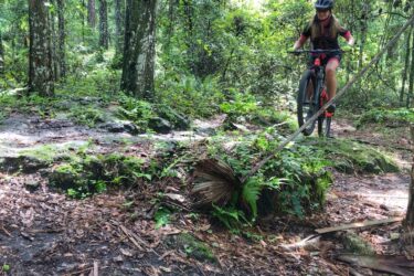 A mountain biker navigating a rocky trail in a lush green forest, surrounded by trees and foliage. The biker is wearing a helmet and colorful cycling gear while riding over uneven terrain. Sinkhole mountain bike trail.