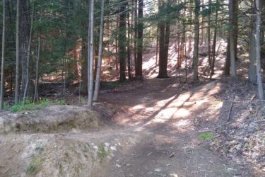 A dirt path winding through dense green trees, illuminated by soft sunlight filtering through the leaves. The path is flanked by patches of dirt and rocks, leading to a slight incline in the background. Shadows cast by the trees create a tranquil, natural atmosphere. Pineland Trail mountain bike trail.