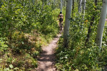 A person riding a mountain bike on a narrow dirt trail surrounded by tall, slender aspen trees and lush greenery under a clear blue sky. Rush Hour mountain bike trail.