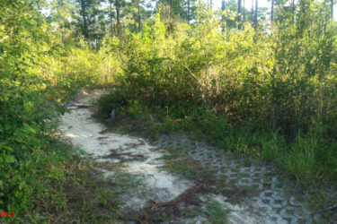 A narrow, winding trail over sandy ground surrounded by dense green vegetation, including bushes and tall grass, with trees visible in the background. The path has a textured surface and is partly obscured by undergrowth, suggesting a secluded natural area. Bethel Bike Trails mountain bike trail.