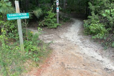 A dirt path diverging into two directions in a wooded area, with a green sign on the left indicating trail maintenance information. Trail markers are visible on the right, directing hikers along the path. Lush greenery surrounds the trail, creating a serene natural setting. Colonel Francis Beatty Park mountain bike trail.