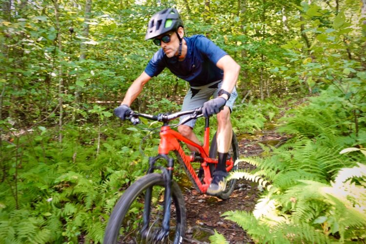 A mountain biker riding a red bike on a dirt trail surrounded by lush green foliage and ferns, wearing a helmet and sunglasses. The cyclist is in a crouched position, showcasing focus and agility as he navigates through the forested area.