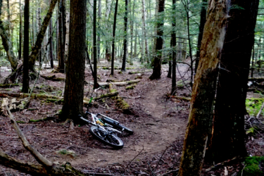 A mountain bike rests on the forest floor among trees, with a winding dirt trail visible in the background. Sunlight filters through the foliage, illuminating the natural surroundings. Dewey Mountain mountain bike trail.