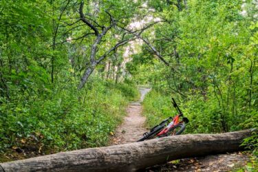 A narrow dirt path winding through a lush green forest, with a fallen log blocking the way. A red bicycle leans against the log, surrounded by thick foliage and scattered leaves. Forest Glen Woods mountain bike trail.