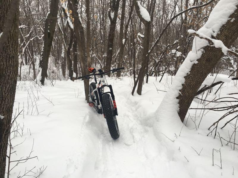 A fat bike parked on a snowy, narrow trail surrounded by trees. The ground is covered in fresh snow, and there are tracks leading along the path. The scene captures a tranquil winter landscape, with a few remaining leaves on the trees. Elm Creek Park mountain bike trail.
