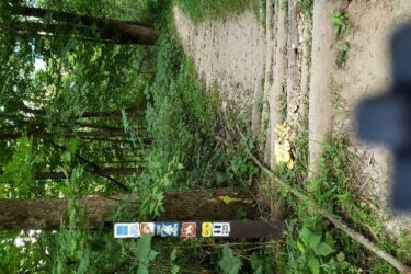 A sandy trail winding through a lush green forest, flanked by trees. A signpost with various trail markers is visible on the left, indicating different activities and safety information. The path appears shaded and natural, with some debris and foliage along the edges. Squaw Creek mountain bike trail.