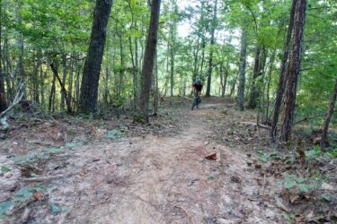 A mountain biker riding on a dirt trail surrounded by trees in a forested area. The path is narrow and winding, with scattered leaves and underbrush along the sides. Sunlight filters through the canopy, illuminating parts of the trail. Moore's Bridge mountain bike trail.