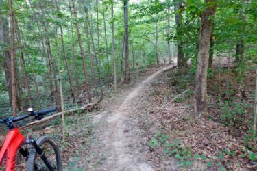 A winding dirt path shaded by tall trees in a lush green forest, with a red mountain bike positioned on the left side of the image. The trail leads into the distance, inviting exploration through the serene natural landscape. Moore's Bridge mountain bike trail.