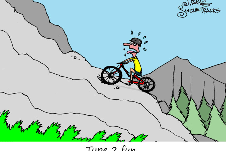 A cartoon illustration of a person riding a mountain bike up a rocky slope, looking anxious and sweating, surrounded by mountains and trees. The caption reads "Type 2 fun."