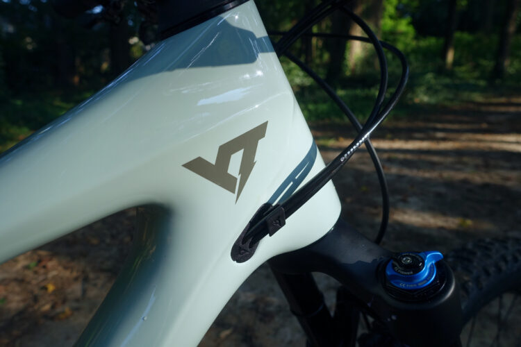 Close-up of a mountain bike frame showing a light green color with a logo in a contrasting shade. The image highlights the bike's head tube, cable routing, and a blue adjustment knob on the suspension fork, set against a blurred natural background.
