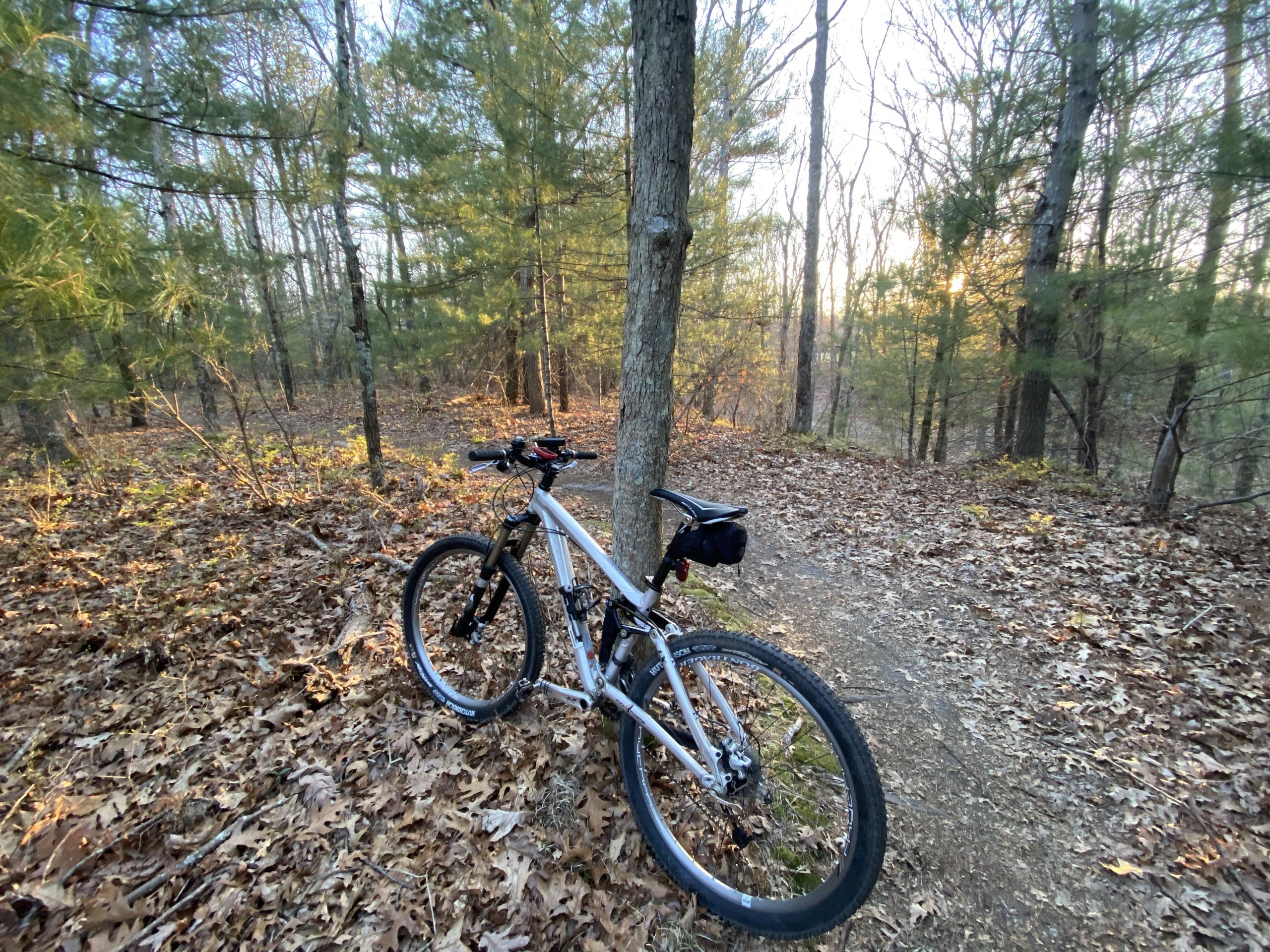 Trek Fuel EX 9: A white mountain bike resting against a tree on a dirt trail surrounded by a forest of trees, with fallen leaves covering the ground and soft sunlight filtering through the branches.