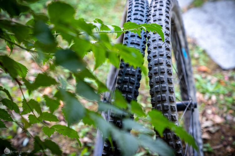 Close-up view of two mountain bike tires partially obscured by green leaves, set against a blurred natural background. The tread patterns of the tires are clearly visible, showcasing their design for off-road traction.