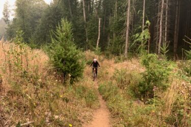 A cyclist rides down a narrow, dirt trail surrounded by tall trees and greenery. The trail is framed by patches of wildflowers, creating a serene natural setting. The atmosphere appears hazy, indicating possible smoke or mist in the air. Victoria Tract - Pilchuck Tree Farm mountain bike trail.