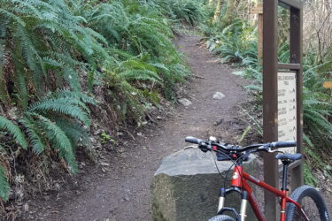 A red mountain bike rests against a large rock on a dirt trail surrounded by lush green ferns and trees in a forested area. A wooden trail sign is visible nearby, indicating the path ahead. Bell Mountain Trail mountain bike trail.