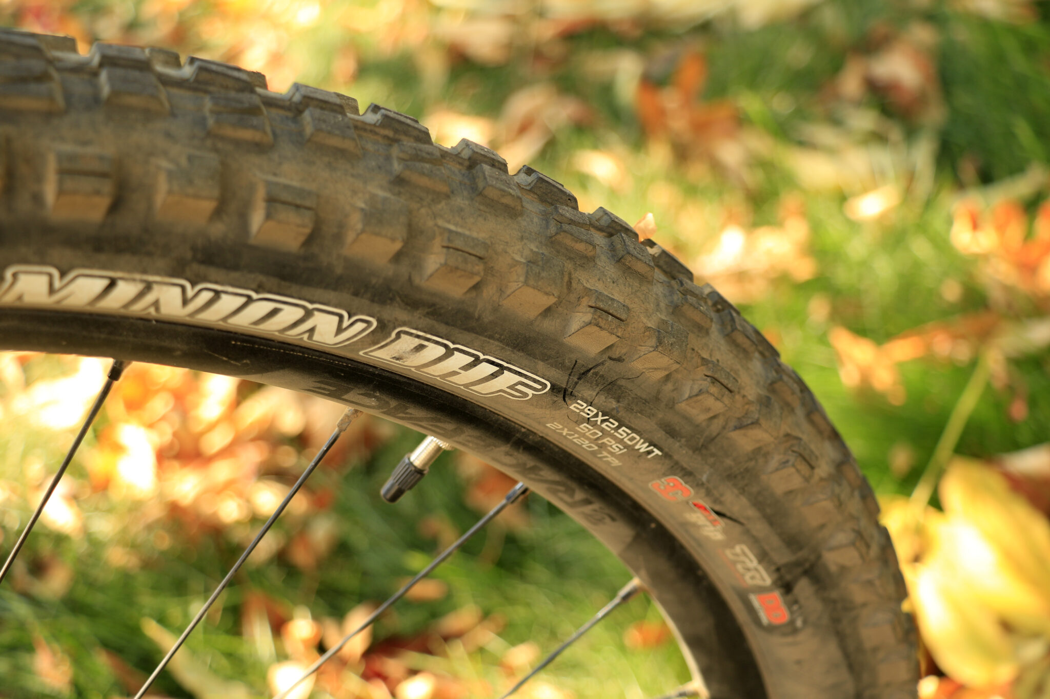 Editors' Choice The 7 Best Mountain Bike Tires we Tested in 2020 Singletracks Mountain Bike News