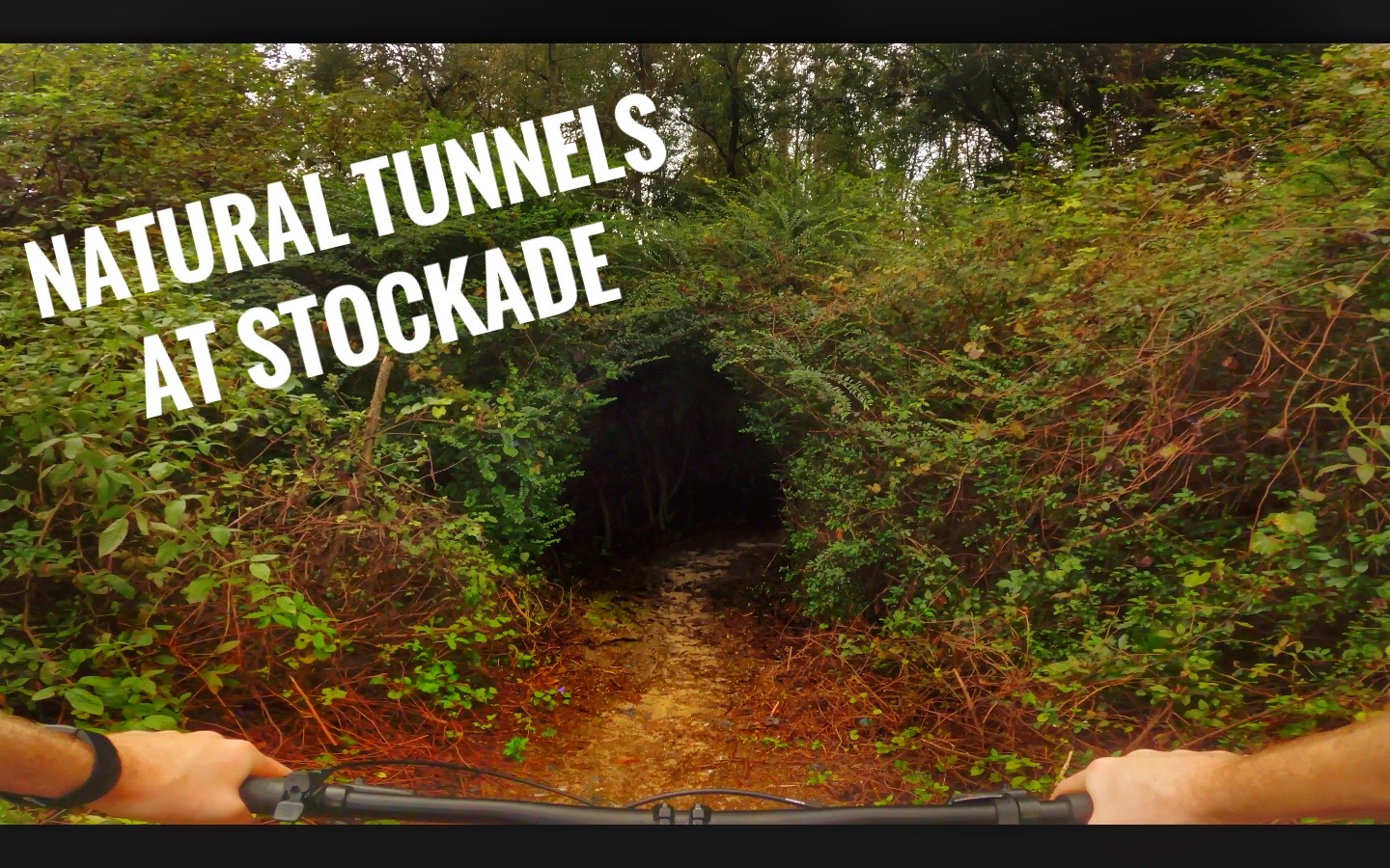 A view of a natural tunnel surrounded by dense greenery, with a bike handlebar visible in the foreground. The image features text that reads "Natural Tunnels at Stockade." The scene depicts a winding path through lush vegetation, inviting exploration. Florence Stockade Trail mountain bike trail.