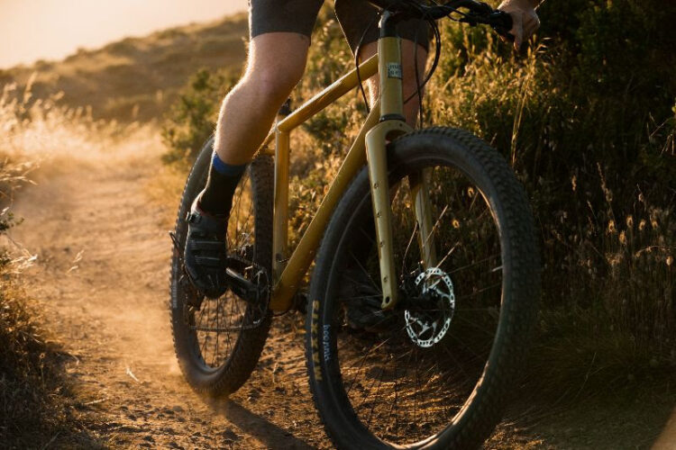 A close-up view of a cyclist riding a golden mountain bike on a dirt trail surrounded by tall grass, illuminated by warm sunlight during sunset. The cyclist is wearing shorts and cycling shoes, with one foot on the pedal as dust kicks up from the trail.