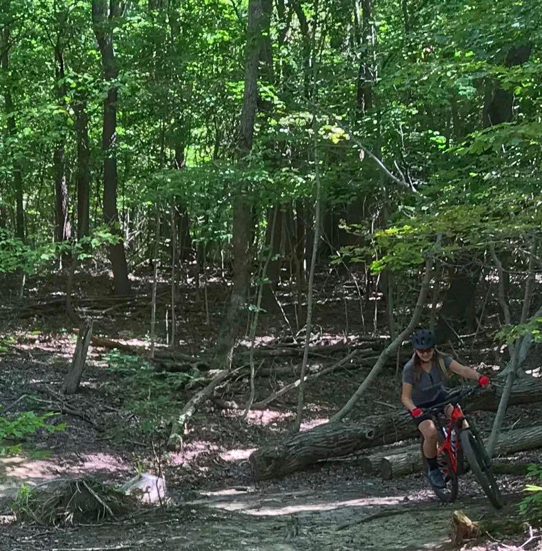 A person riding a mountain bike along a wooded trail, surrounded by lush green trees and fallen logs, showcasing an adventurous outdoor activity in nature. East Fork mountain bike trail.