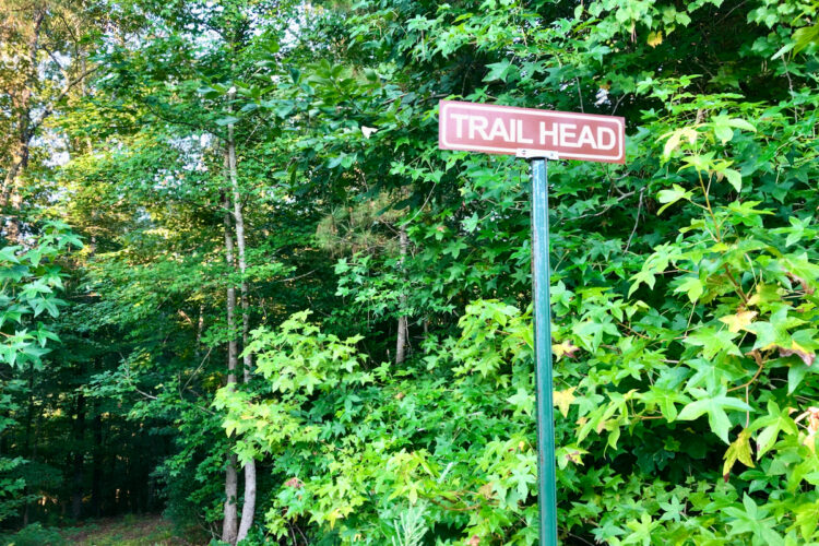 A green sign labeled "TRAIL HEAD" stands among lush green foliage and trees, indicating the entrance to a hiking trail.
