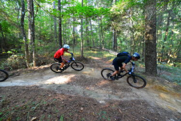 Two mountain bikers navigate a wooded trail surrounded by lush green trees. The rider in the foreground wears a red jersey and a white helmet, while the other cyclist, further back, is dressed in a dark shirt and shorts. Sunlight filters through the leaves, illuminating the dirt path they are riding on. Mt. Zion Bike Trails mountain bike trail.