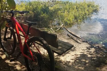 A bright red mountain bike rests next to a wooden bench by the shore of a serene lake, surrounded by lush greenery. The calm water reflects the blue sky and trees in the background, creating a peaceful outdoor scene. Burke Lake mountain bike trail.